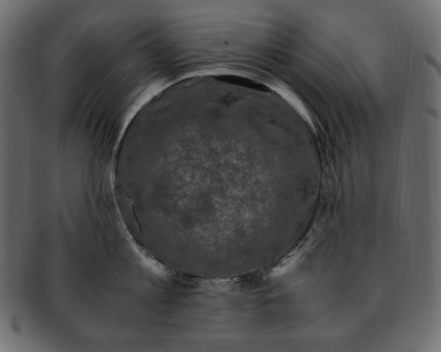 X0000091920813200710031038