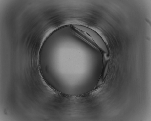 X0000091920815200710031038