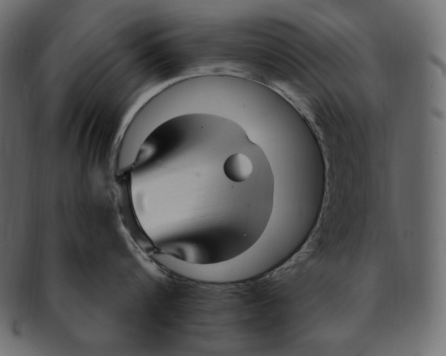 X0000091920816200710031038