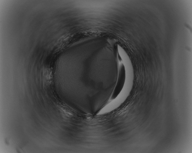 X0000091920818200710031037