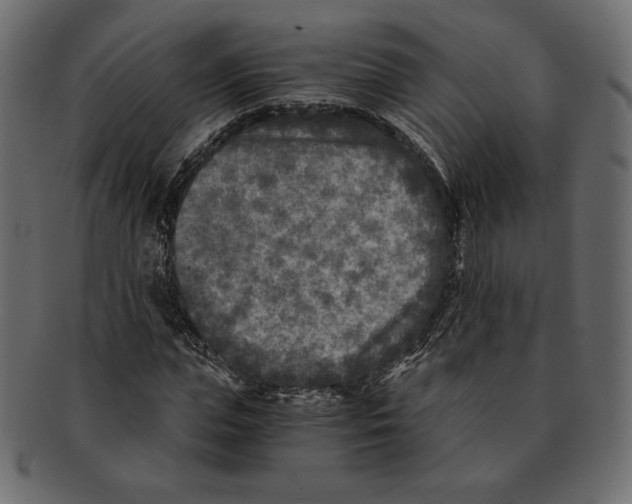 X0000091920823200710031037
