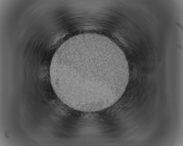 X0000091920824200710031037
