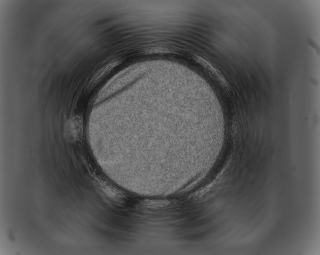 X0000091920825200710031037