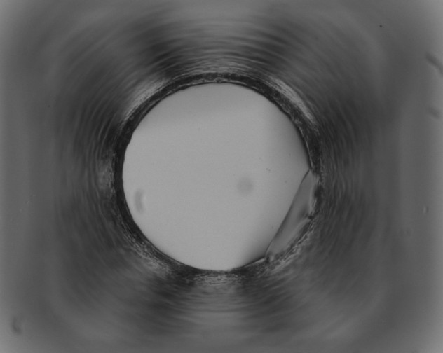 X0000091920826200710031037