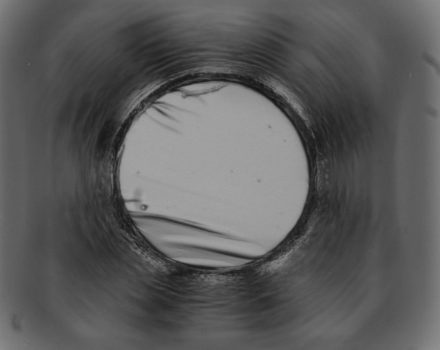 X0000091920829200710031037