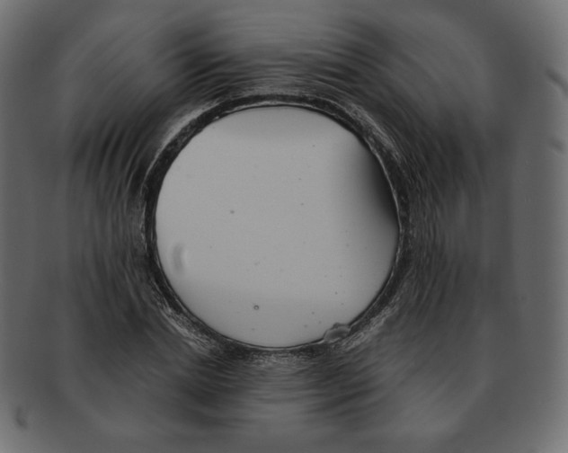 X0000091920830200710031037