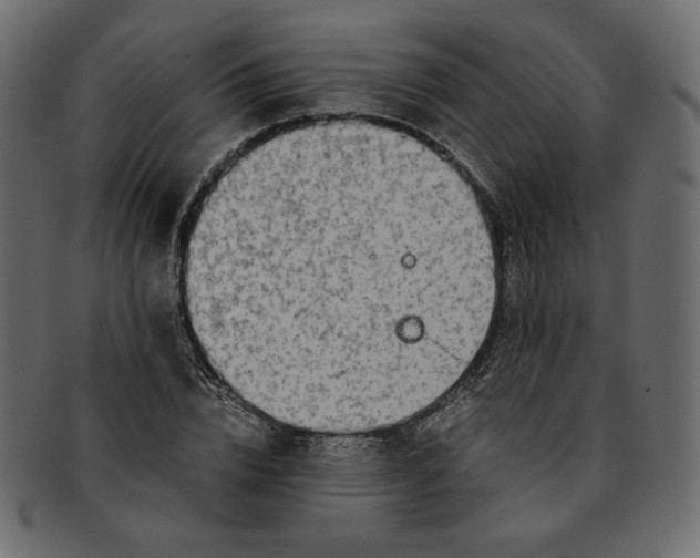 X0000091920832200710031037