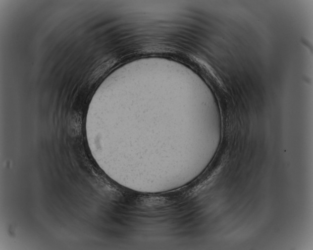 X0000091920833200710031037