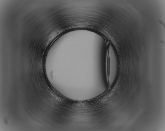 X0000091920834200710031037