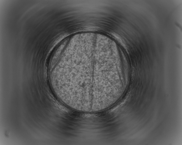 X0000091920835200710031037