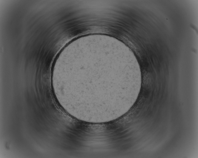 X0000091920836200710031037