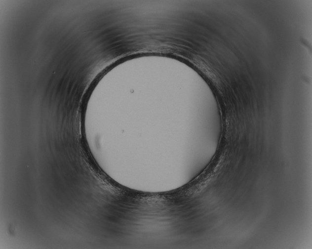 X0000091920838200710031037