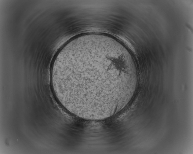 X0000091920839200710031037
