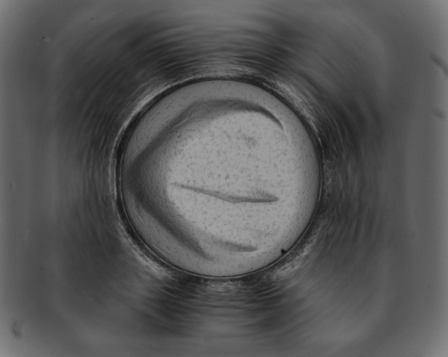 X0000091920843200710031037