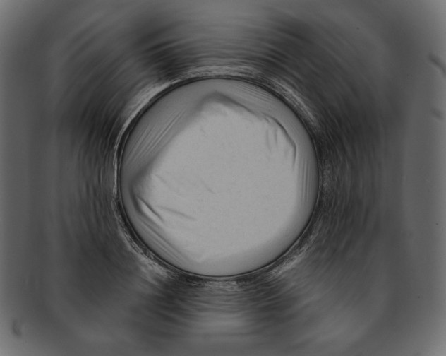 X0000091920844200710031037