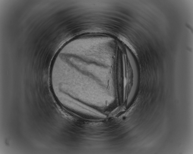 X0000091920845200710031037