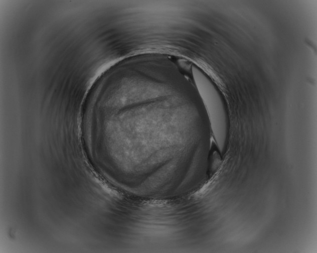X0000091920846200710031037