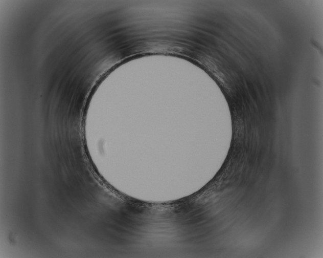 X0000091920848200710031037