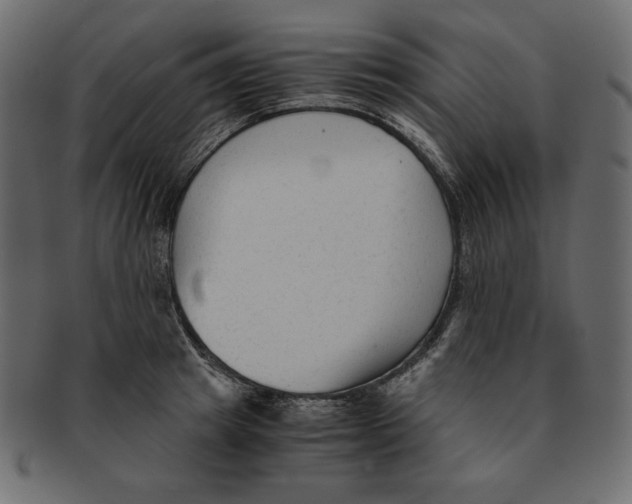 X0000091920849200710031037