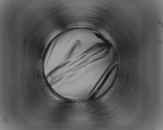 X0000091920850200710031037