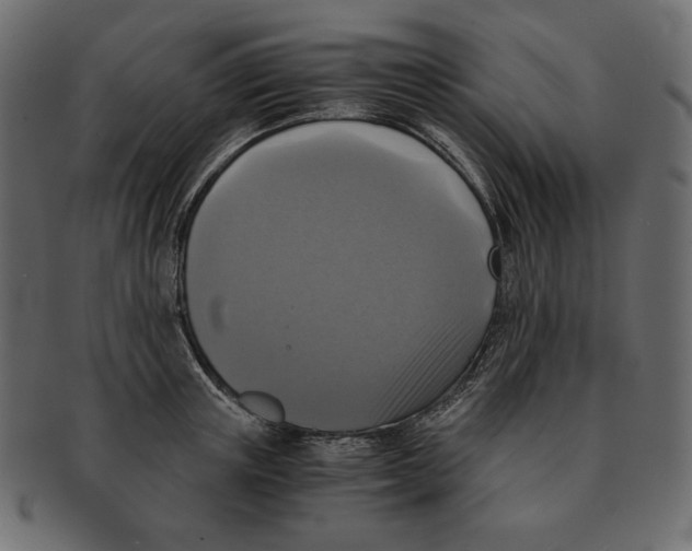 X0000091920851200710031037