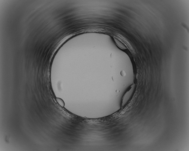 X0000091920852200710031037