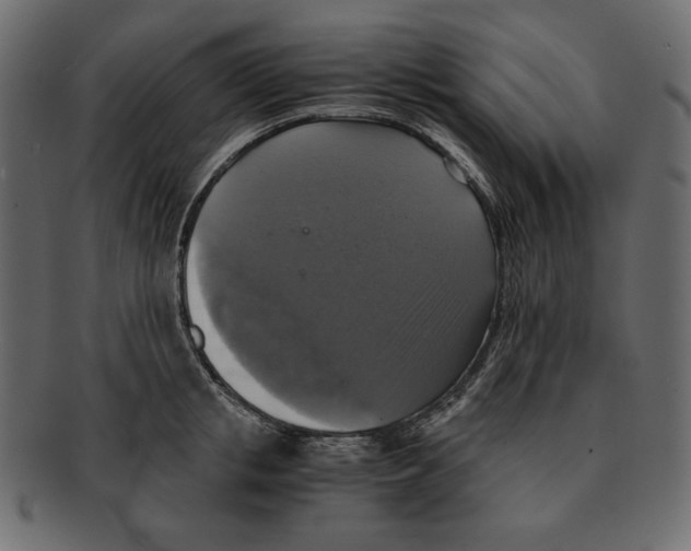 X0000091920853200710031037