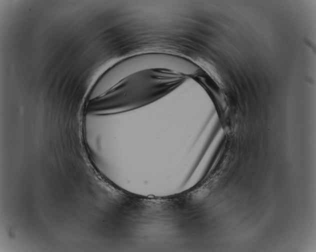 X0000091920854200710031037