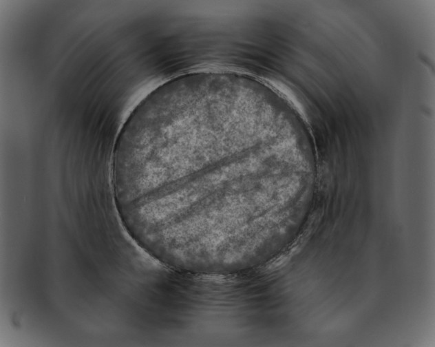 X0000091920855200710031038