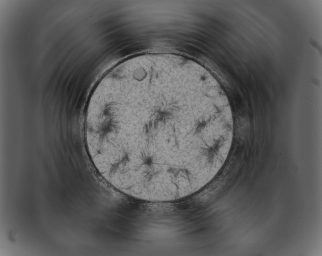 X0000091920856200710031038