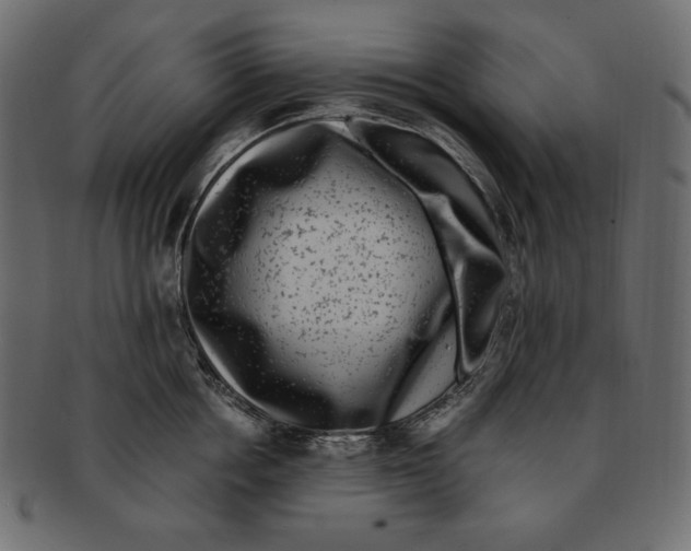 X0000091920858200710031038