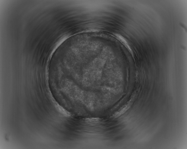 X0000091920859200710031038