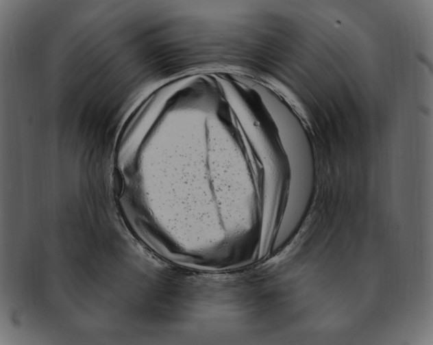 X0000091920860200710031038