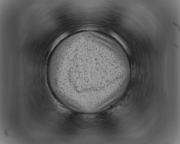 X0000091920861200710031038