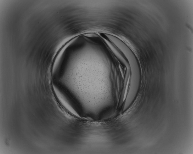 X0000091920862200710031038