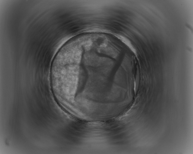 X0000091920863200710031038