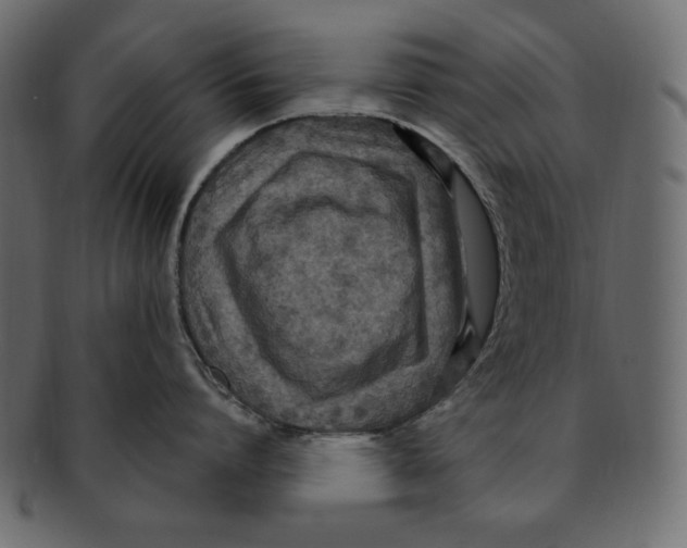 X0000091920864200710031038