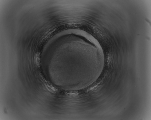 X0000091920868200710031037