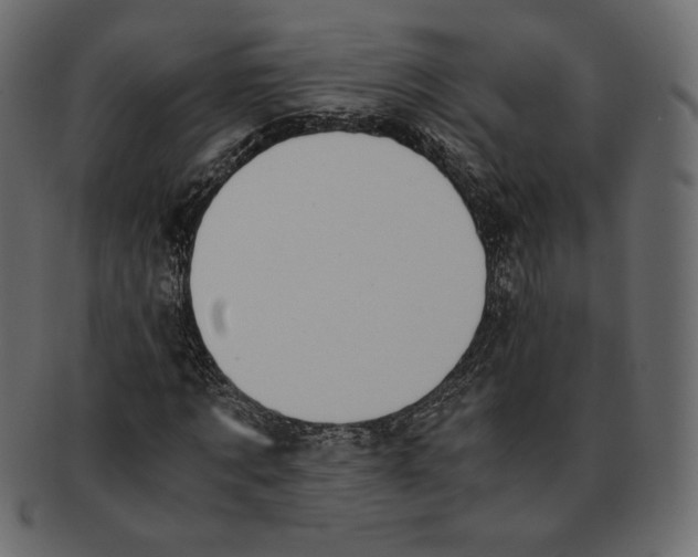 X0000091920869200710031037