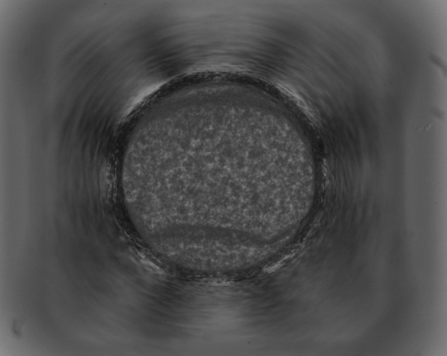 X0000091920872200710031037