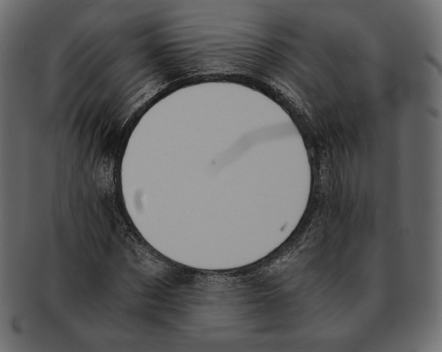 X0000091920873200710031037