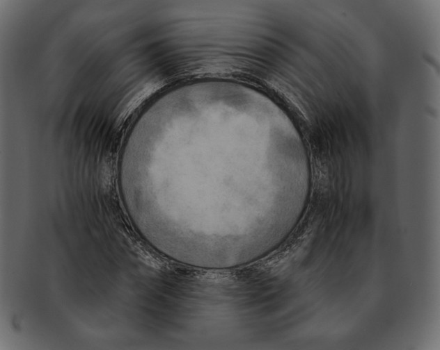 X0000091920874200710031037
