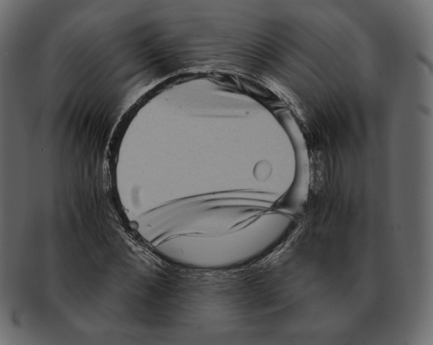 X0000091920876200710031037