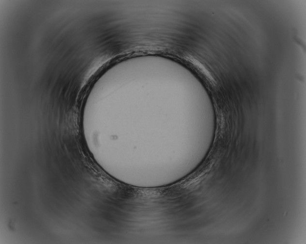 X0000091920878200710031037