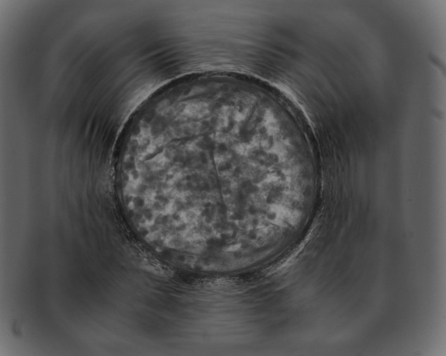 X0000091920879200710031037