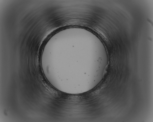 X0000091920880200710031037