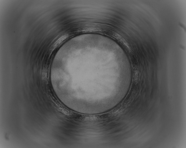 X0000091920882200710031037