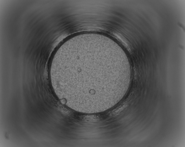 X0000091920883200710031037