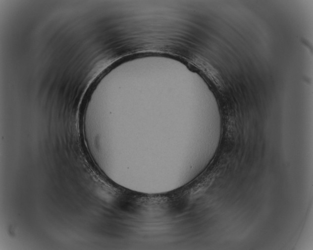 X0000091920884200710031037