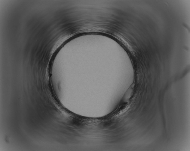 X0000091920885200710031037